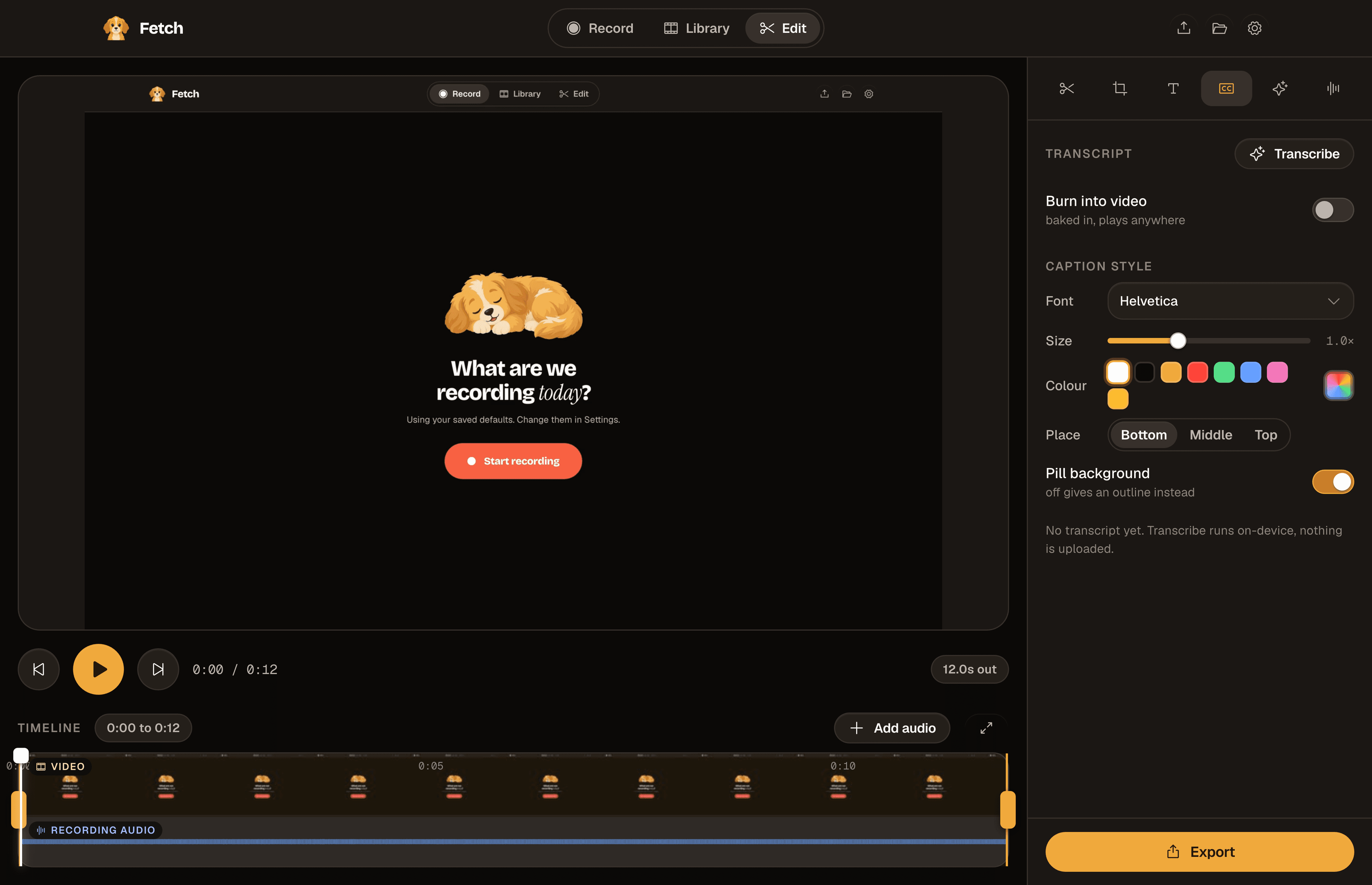 The Fetch editor with the captions panel open.
